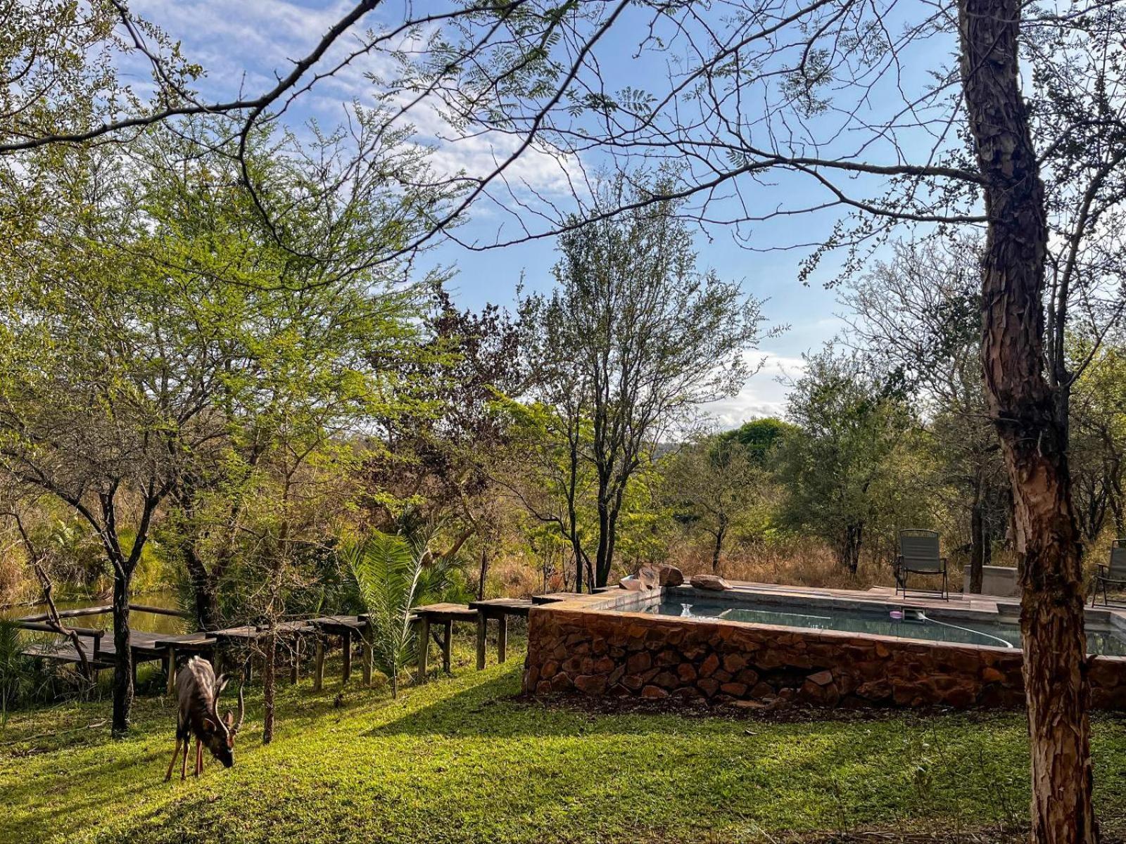 Mbuluzi Game Reserve Simunye Rum bild