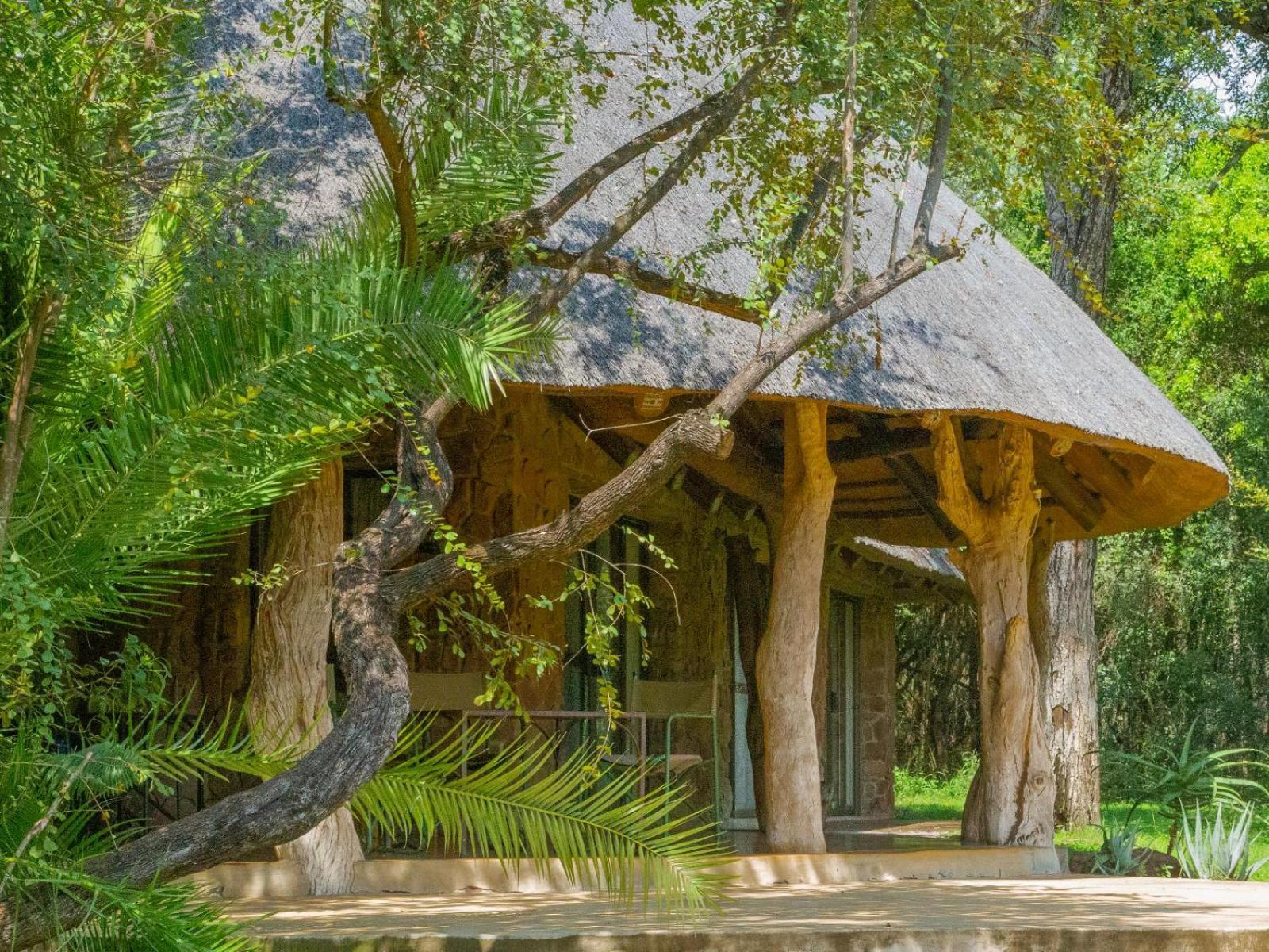Mbuluzi Game Reserve Simunye Rum bild