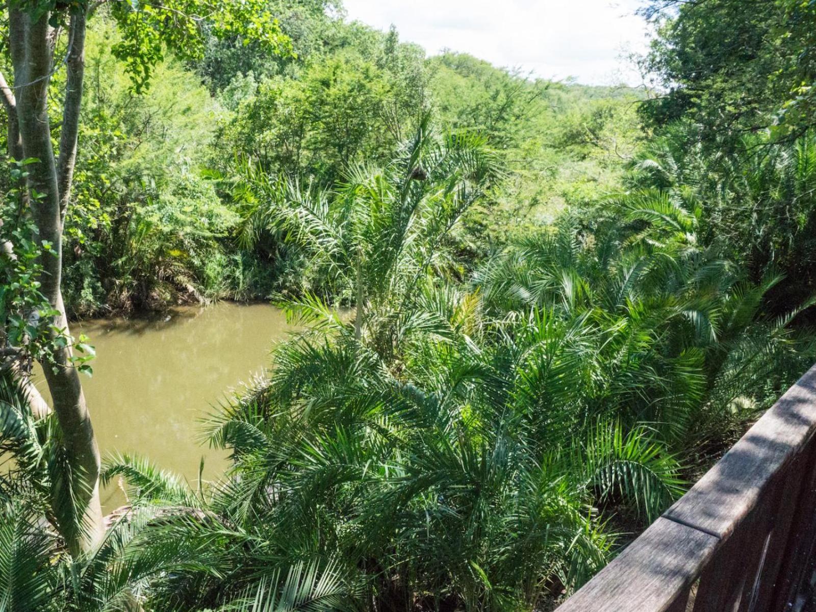 Mbuluzi Game Reserve Simunye Rum bild